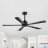 BLACK WITH OUT LIGHT REMOTE FAN